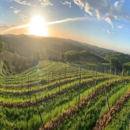 Sibon Wine & Jeruzalem Ξενοδοχείο Ljutomer